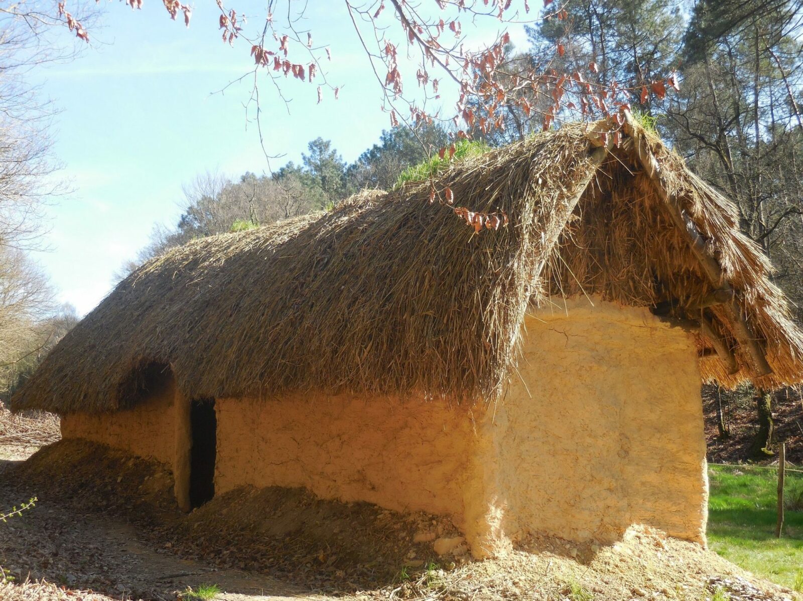Maison néolithique