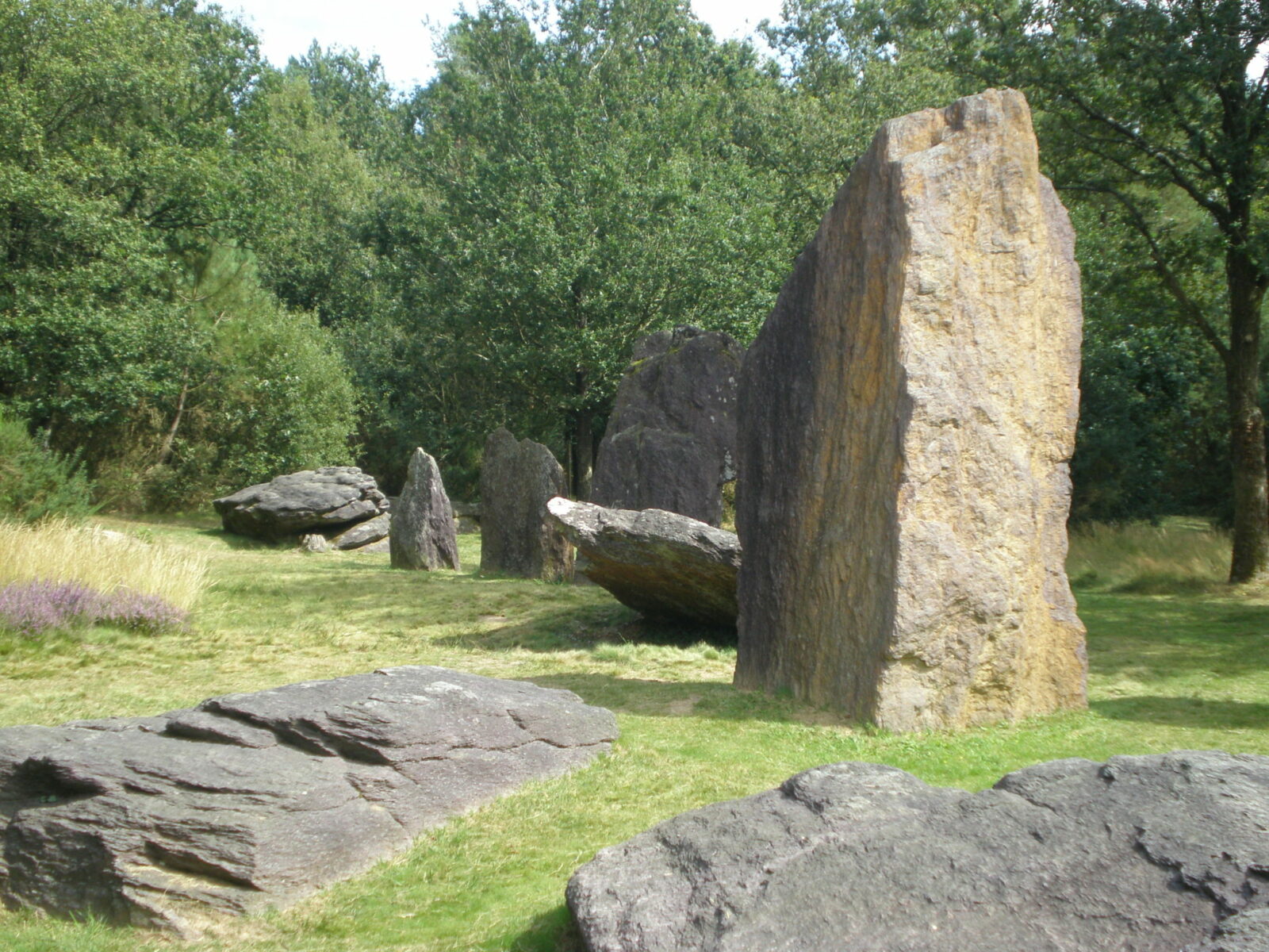 Service Civique – site des  Menhirs de Monteneuf (56)