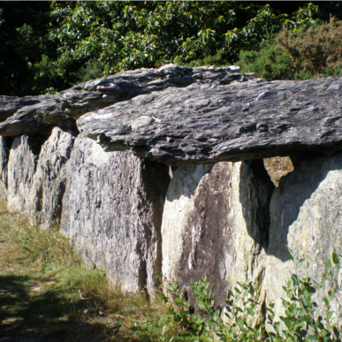 Visite du dolmen de Tréal