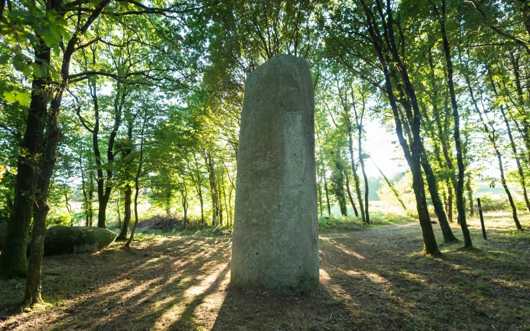 Landes de Lanvaux