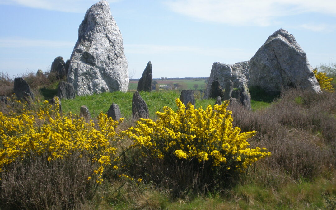 Le “Seigneur de la Lande” – Visite JEA