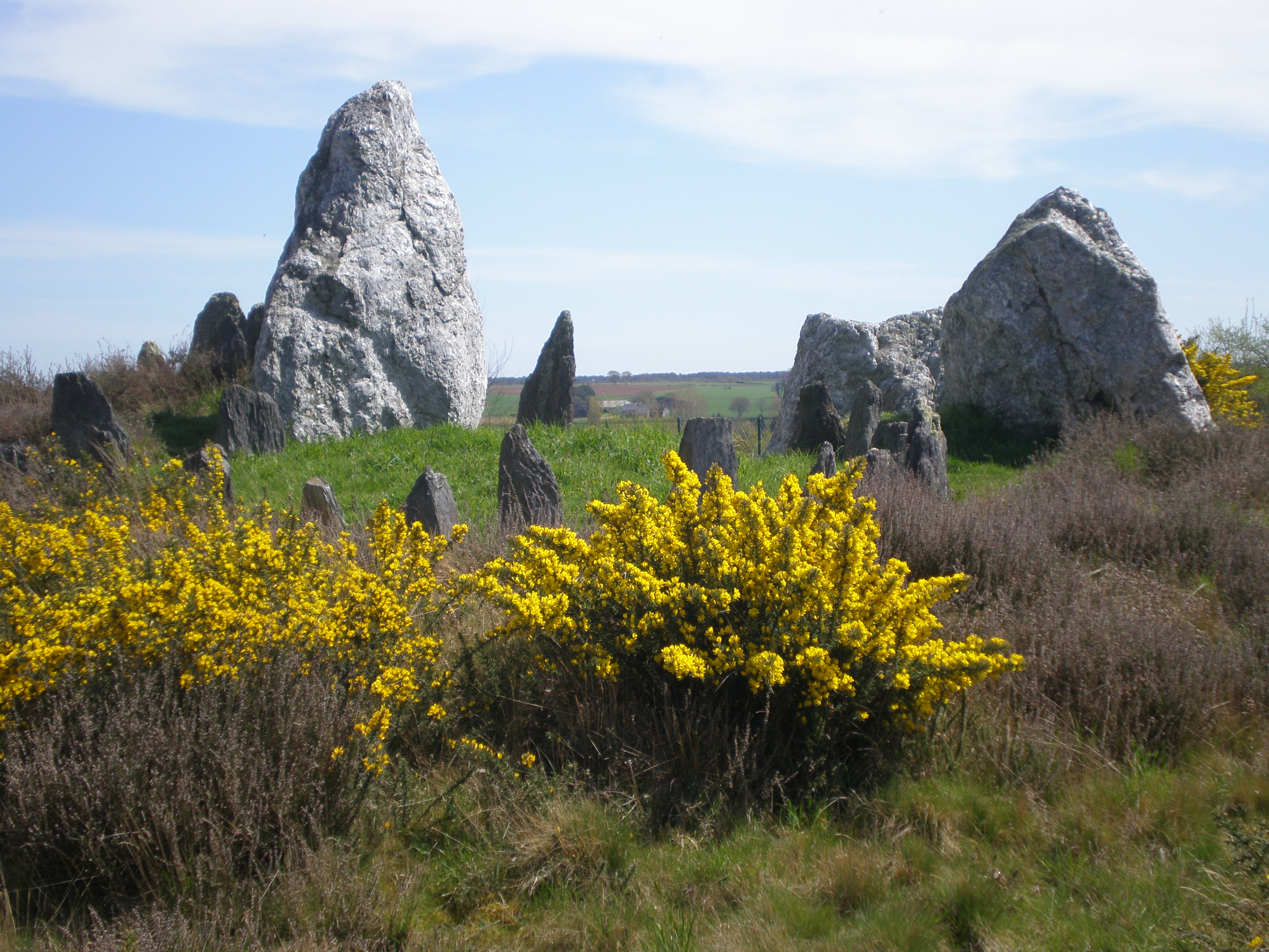 Monument funéraire dolmen tumulus château bû ajonc en fleurs