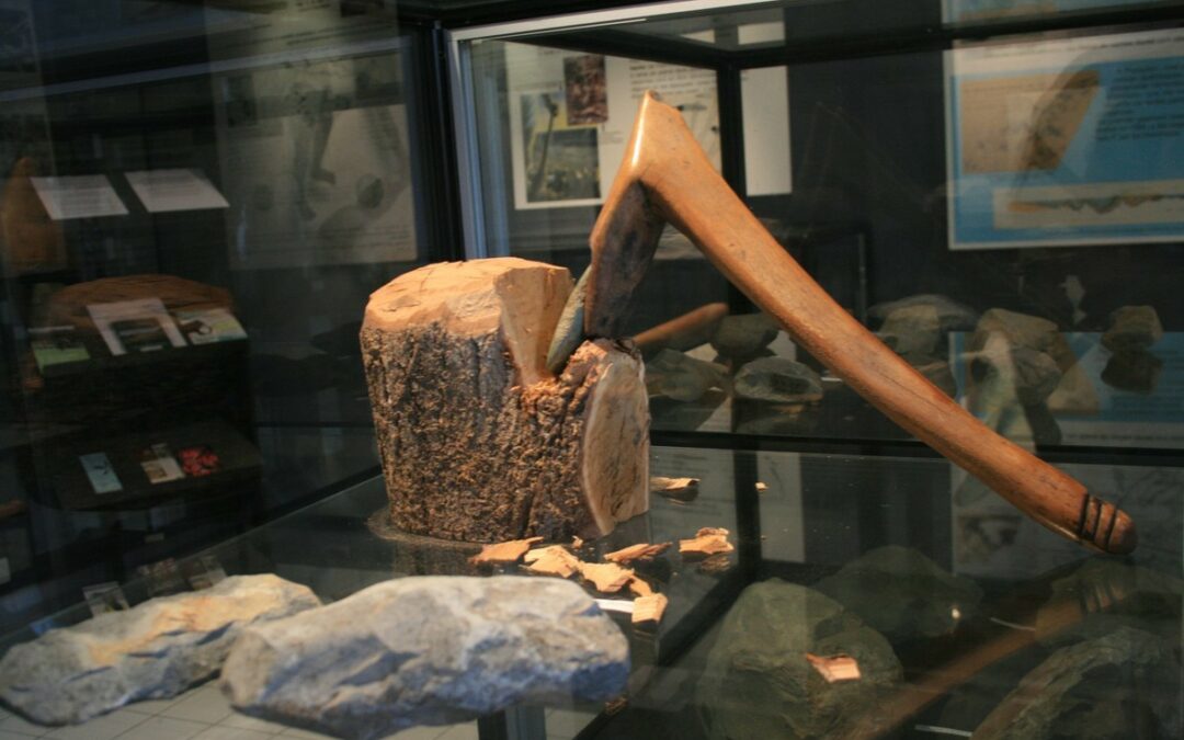 Visite guidée du site de Quelfenec et de la maison de l’archéologie de Plussulien