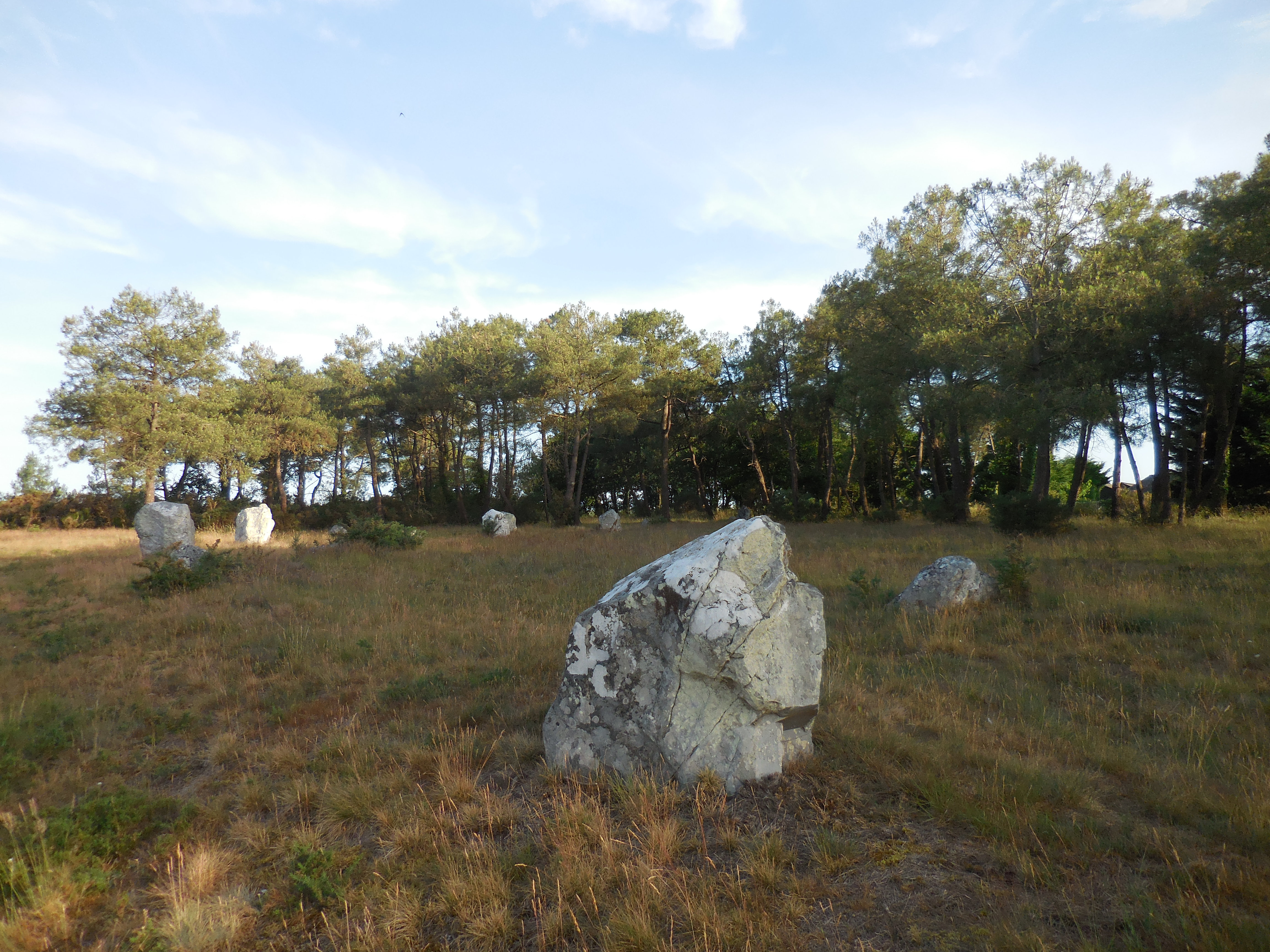 Alignement de Langon