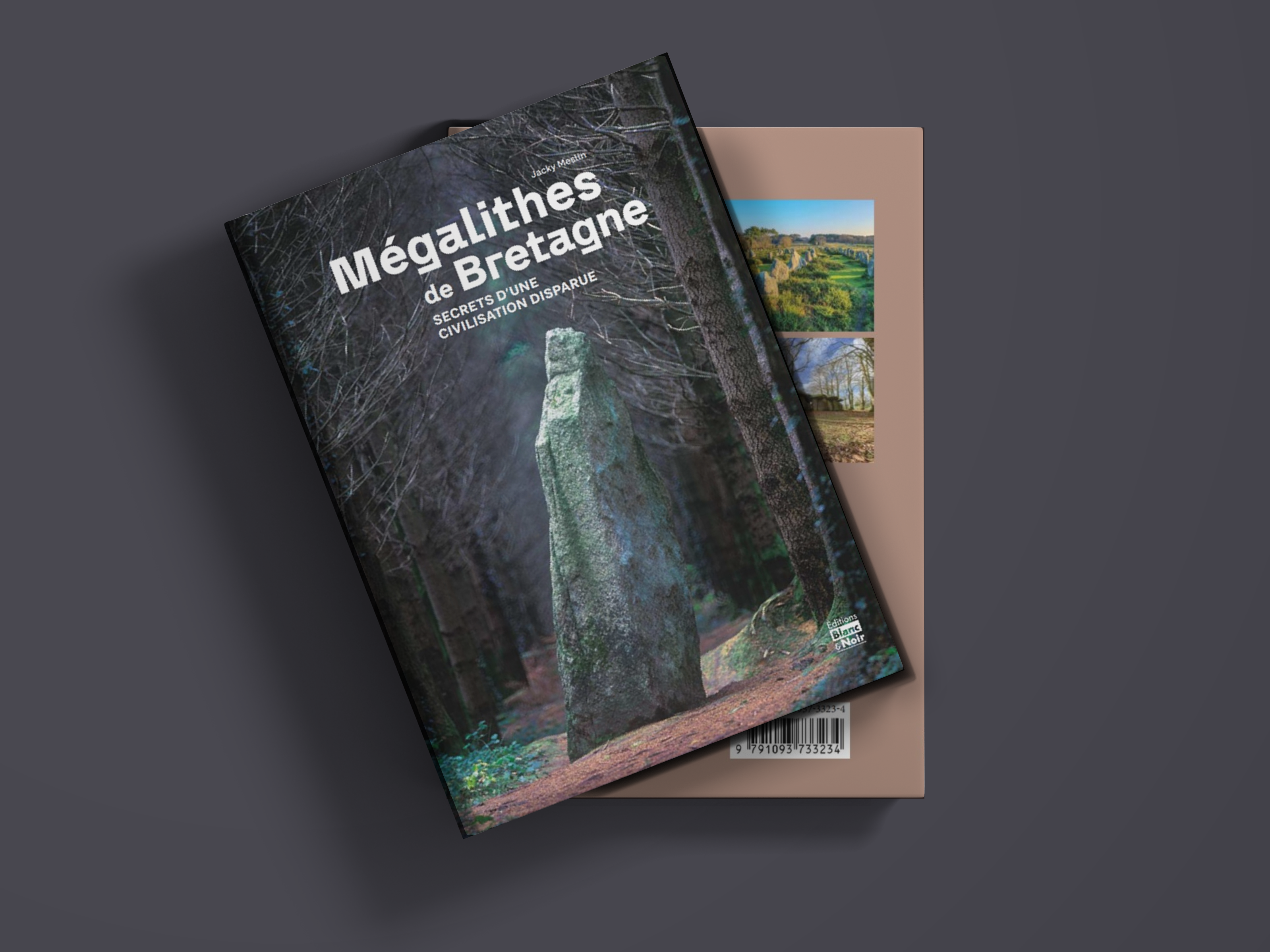 Livre "Les mégalithes de Bretagne"