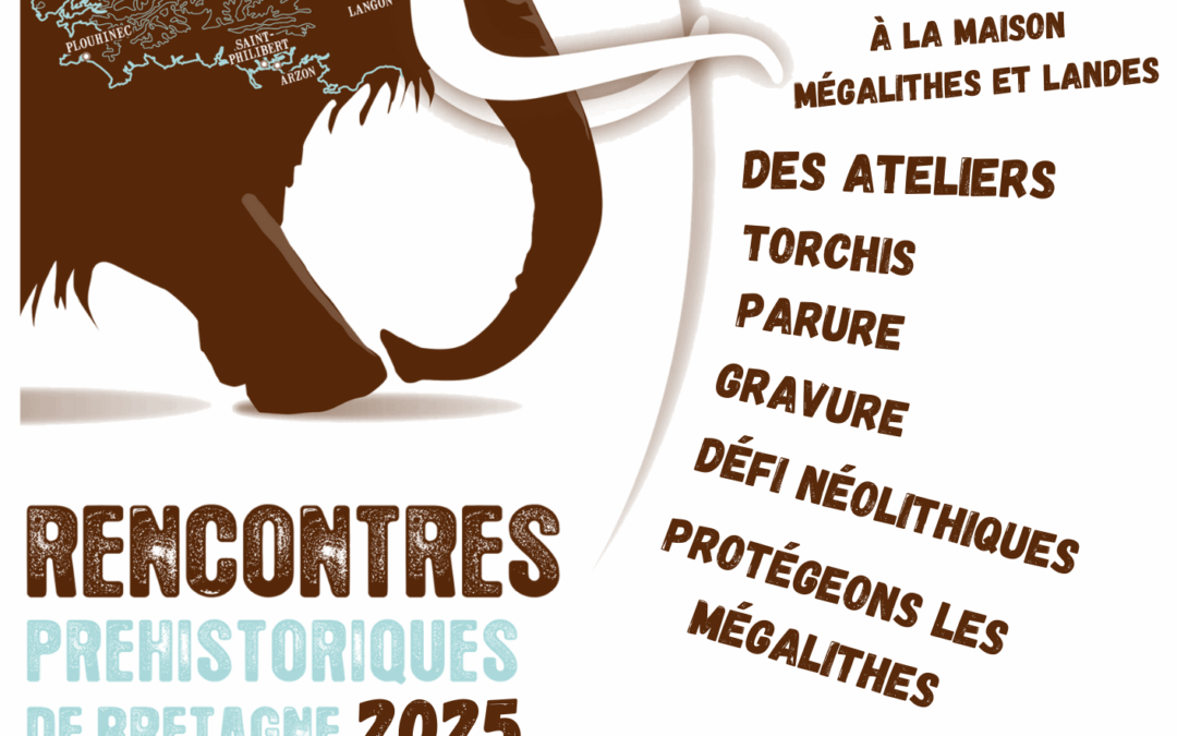 Rencontre Préhistorique de Bretagne à St Just